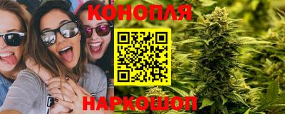 a pvp Обнинск