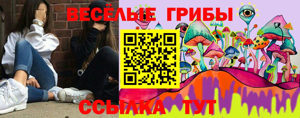 Галлюциногенные грибы Psilocybine cubensis  купить  цена  Ставрополь  Вход с VPN  Галлюциногенные грибы Psilocybe 