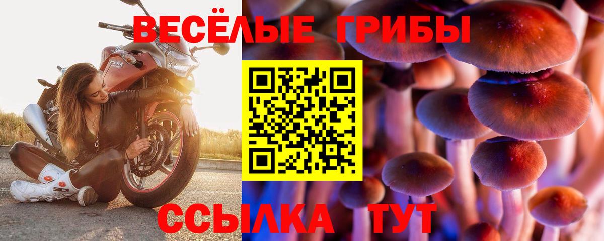 Псилоцибиновые грибы мухоморы Ставрополь